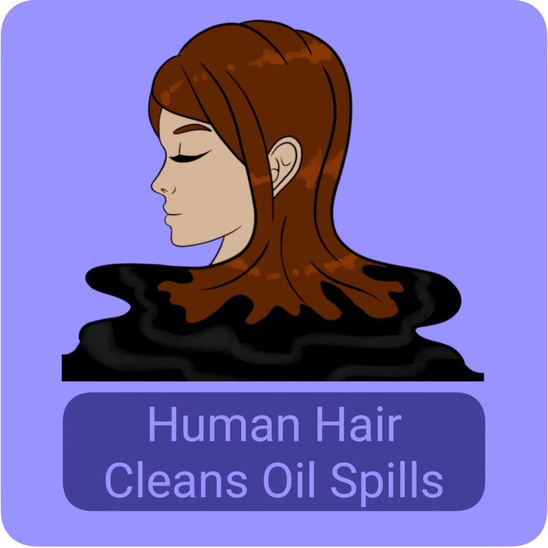 hair_oil