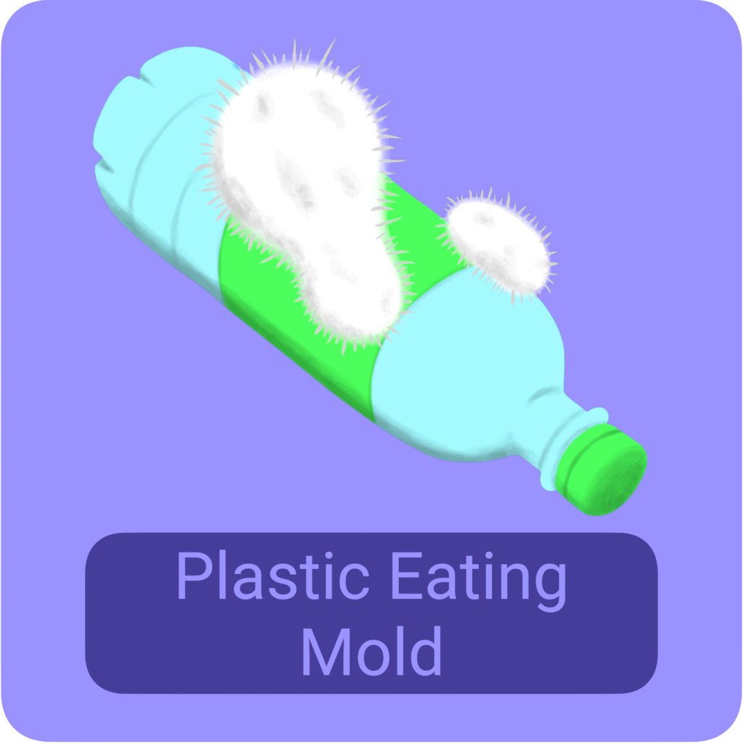 plastic_mold